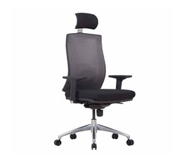 Relax Mesh Executive Chairs